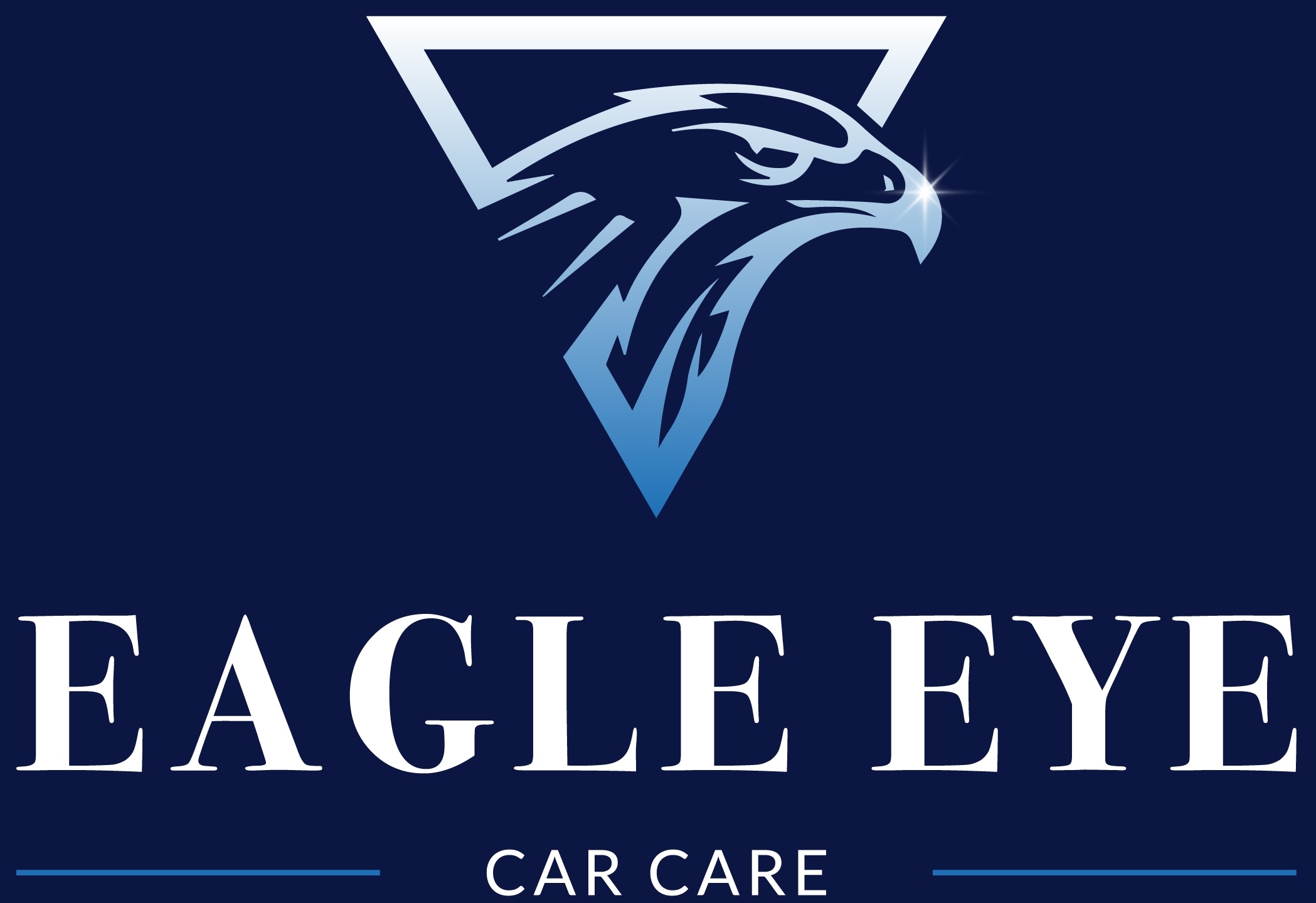 Auto Reinigen Auto Poetsen Auto Beschermen Eagle Eye Car Care
